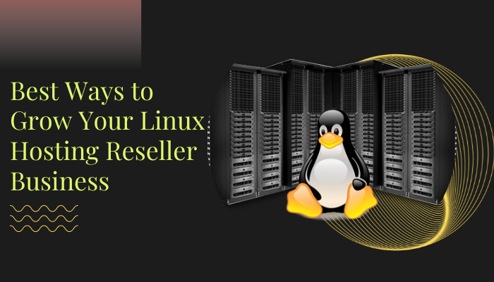 Linux Hosting Reseller Business