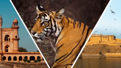 Complete 8 Days - Golden Triangle Tour with Ranthambore