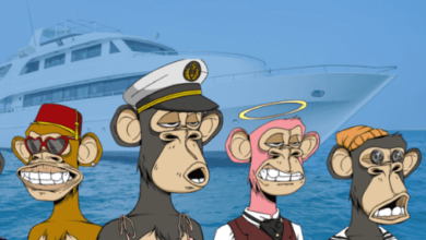 The Bored Ape Yacht Club
