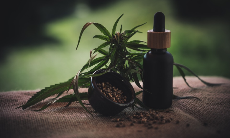 6 Safety Tips To Use When Traveling With CBD Oil In Bag