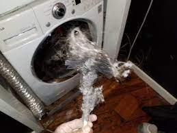 dryer vent cleaning charlotte