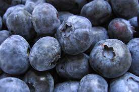 wellhealthorganic.com:blueberry-brain-boosting-benefits