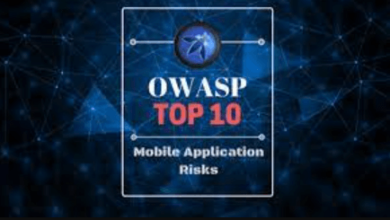 Unveiling Cybersecurity: Navigating the OWASP Top 10 with Appsealing