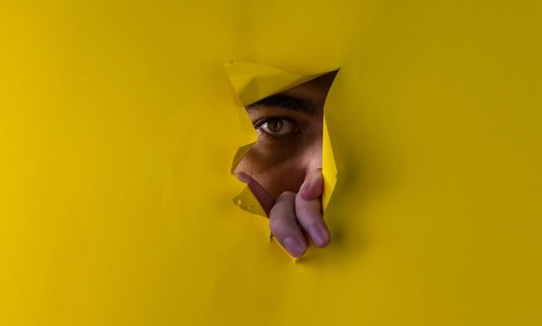 username analysis and insights