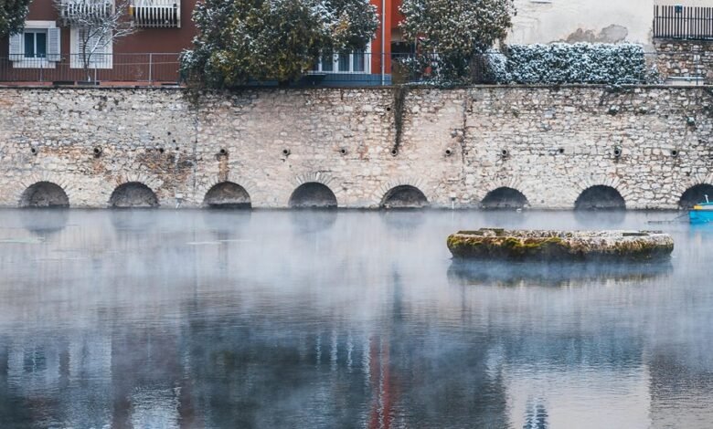 putakocura s unique characteristics explained