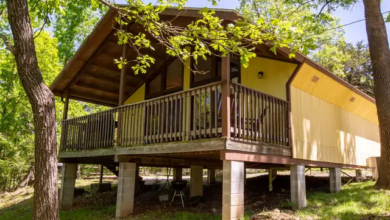 Branson Cabin Rentals for Families, Groups, and Getaways