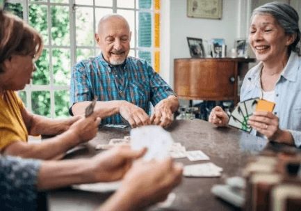 The Strategic Partnership Dynamics Behind the Spades Card Game