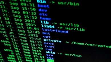 corporate data verification sequence identifiers