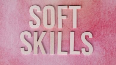 dimrekemesgen skills description