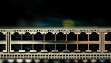 network numeric record identifiers