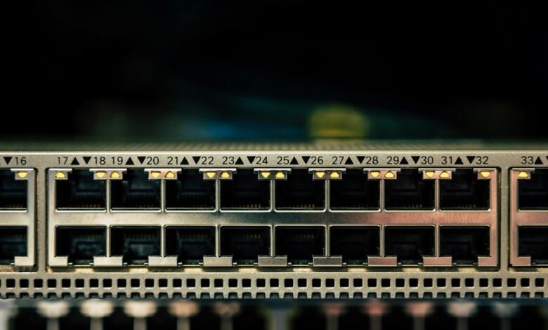 network numeric record identifiers