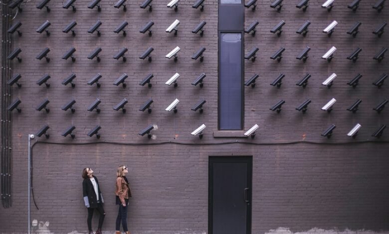 network safety observation ids listed