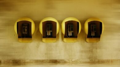 next generation record validation