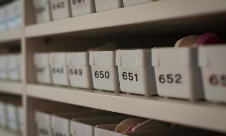 structured digital integrity archive identifiers