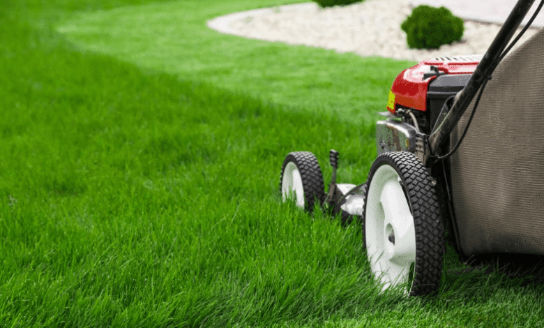 Top Turf Varieties for Southern Highlands Properties
