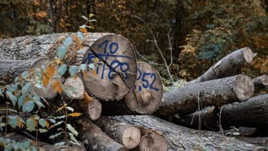 track infrastructure log identifiers and aliases