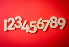hidden numbers and ids list