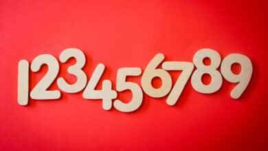 hidden numbers verification details list of numbers