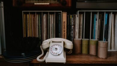 phone identity review records listed