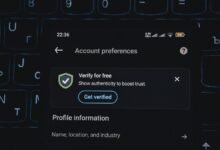 phone verification numbers list supplied