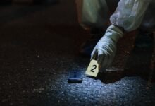 sequence of activity investigation numbers